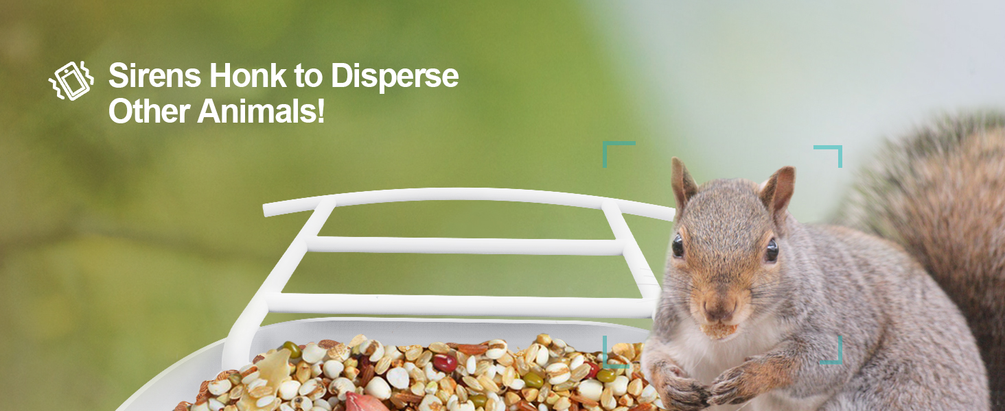 Smart Bird Feeder