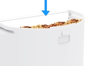 Smart Bird Feeder
