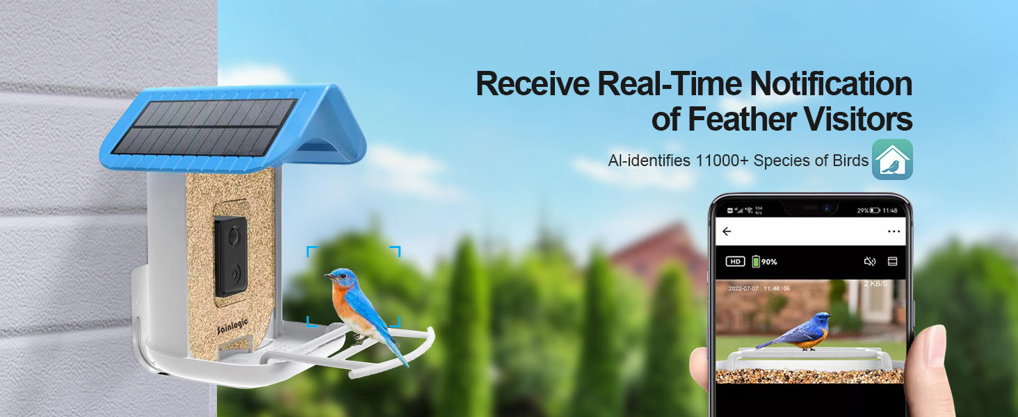 Smart Bird Feeder