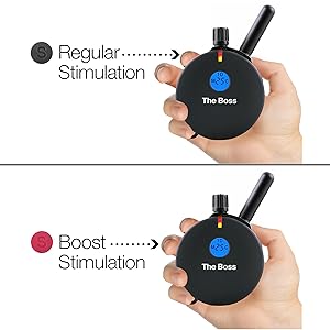 Regular and Boost Stimulation