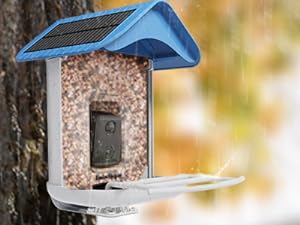 Smart Bird Feeder